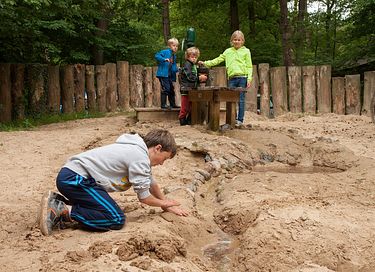 Gemütliche Gondel in den Wäldern von Drenthe - 10