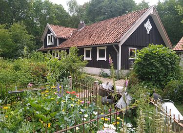 Gemütliches schwedisches Landhaus in Drenthe - 3