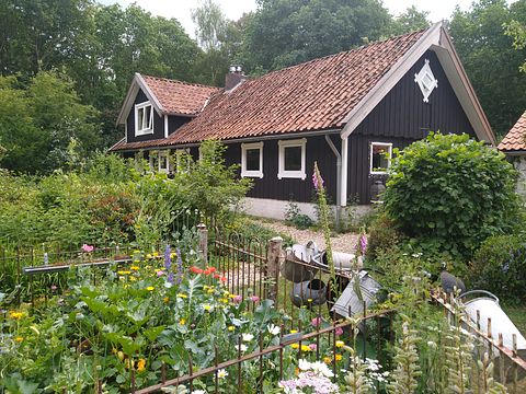 Gemütliches schwedisches Landhaus in Drenthe - 3