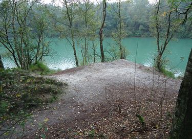Boslodge met vrij uitzicht op de natuur - 9