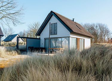 Luxe vakantiewoning omringd door de duinen - 2