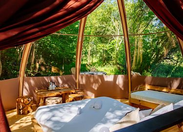 Luxe bubble met privé badkamer - 4