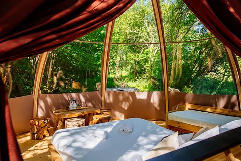 Luxe bubble met privé badkamer - 4