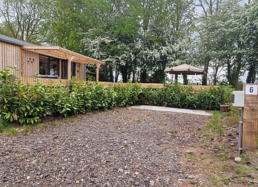 Cozy Tiny House in wooded area - 3