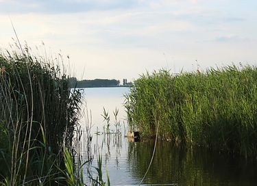 Holzchalet mit Terrasse am Veluwemeer - 21