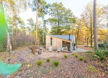 Cozy tiny house in nature in Twente - 19