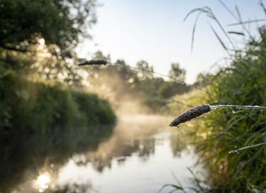 Overnachten in een authentieke boerderij - 24