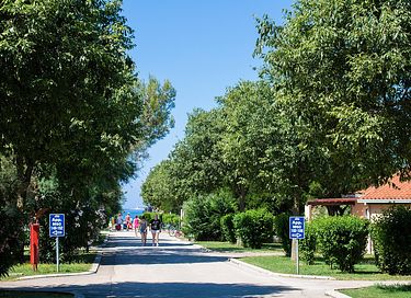 Glamping tent (5p) near the sea in Croatia - 35