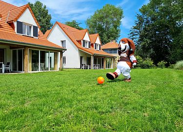 Maison de vacances de luxe proche de la plage (10p) - 12