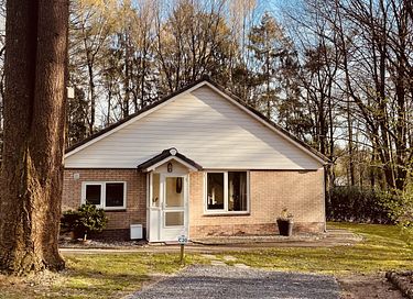Forest cabin in the Veluwe on park with pool - 32