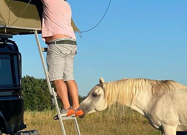 Abenteuer im Landrover mit Zelt auf dem Dach - 5