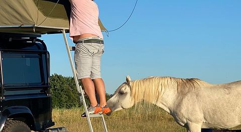 Abenteuer im Landrover mit Zelt auf dem Dach - 5