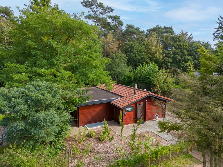 Cabane en rondins robuste avec sauna dans la forêt - 1