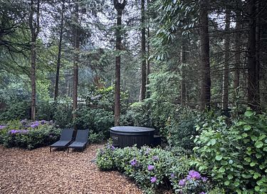 Boshuis met wellness in Drenthe - 3
