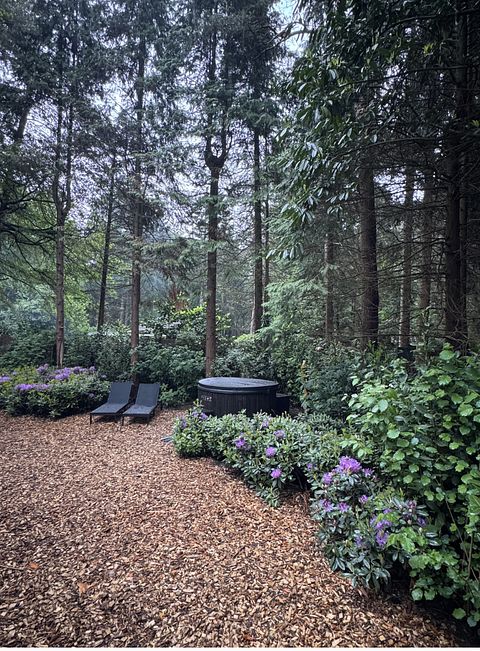 Boshuis met wellness in Drenthe - 3
