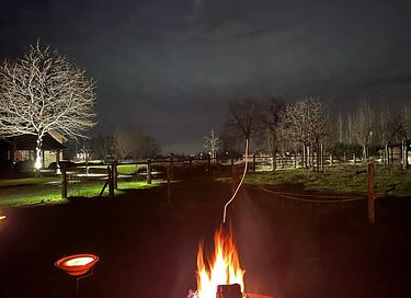Nuitée dans une cabane romantique avec bain à remous - 16