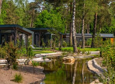 Knus Tiny House op een bosrijk vakantiepark - 19
