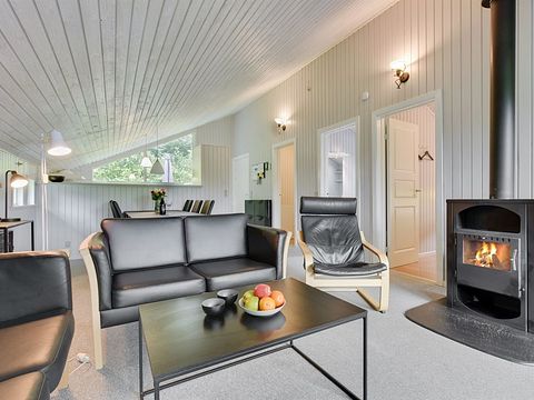 Moderne indrettet feriehus i naturen - 5