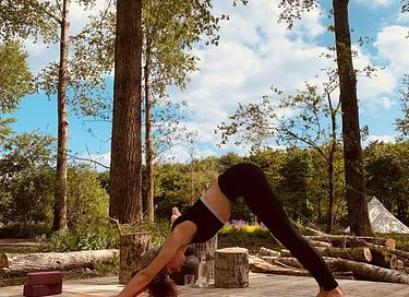 Heerlijk vertragen in een houten boshuisje - 13