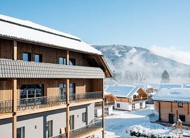 Luxury apartment with sauna in Austria