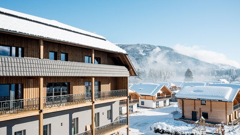Luxury apartment with sauna in Austria - 1