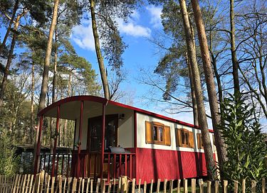 Cute shepherds hut with private hot tub in nature - 6