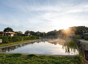 Lodge de luxe au bord de l'eau avec sauna et bain à remous - 16