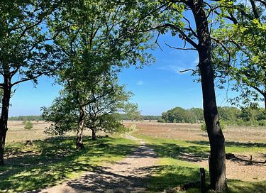 Wellnesshaus (6 P.) in Drenthe - 12