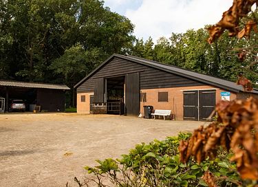Glamping mit Whirlpool in der Veluwe - 3