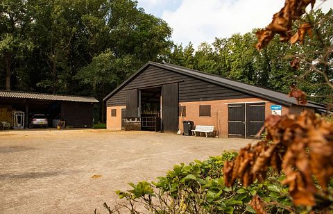 Glamping mit Whirlpool in der Veluwe - 3