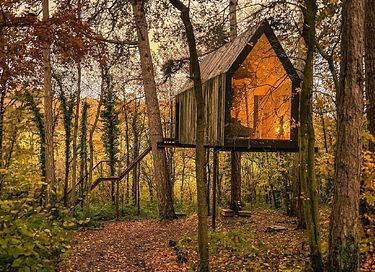 Atmospheric forest cabin at altitude in the Ardennes