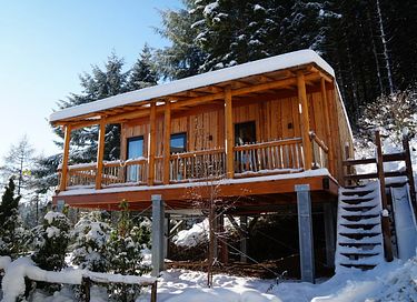 Cabane unique dans les arbes avec toboggan à Winterberg - 11
