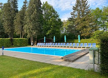 Forest cabin in the Veluwe on park with pool - 2