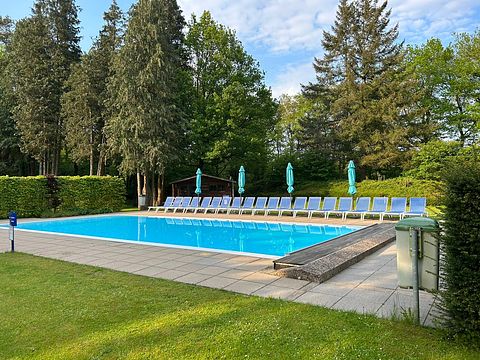 Forest cabin in the Veluwe on park with pool - 2