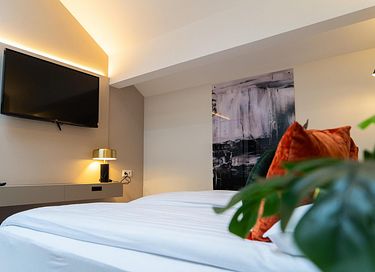 Group accommodation (18p) with wellness - 16