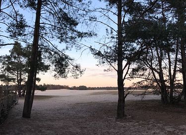 Pipowagen op de Veluwe, nabij heide & bos - 22
