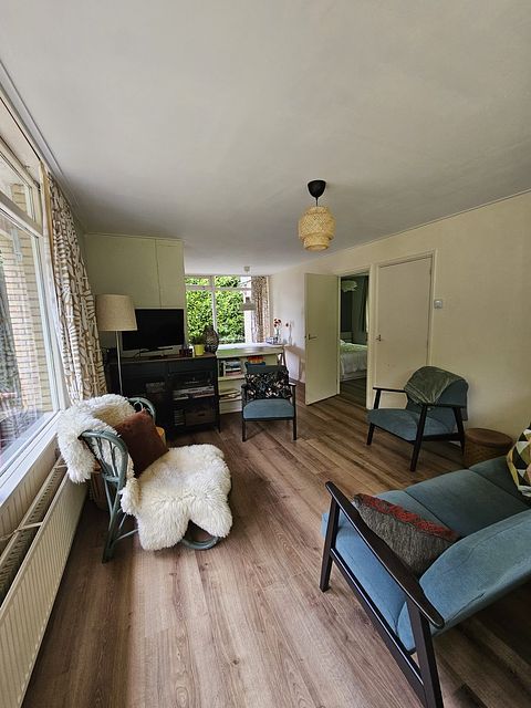 Dog-friendly forest cabin with privacy - 4