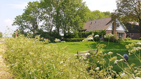 Kamer op een boerderij in landelijk Amsterdam - 2