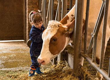 Glamping à la ferme des vaches laitières - 6
