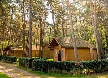 Trekkershut voor 4 personen in het bos - 2