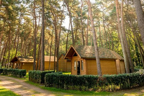 Trekkershut voor 4 personen in het bos - 2