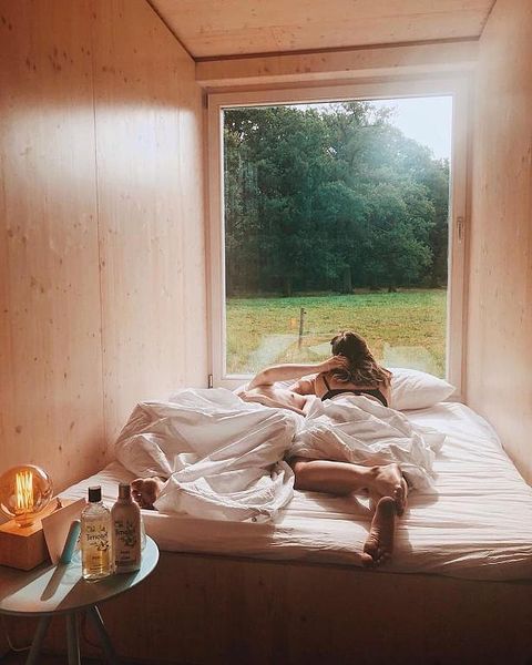 Off Grid Nature Cabin near Antwerp - 2