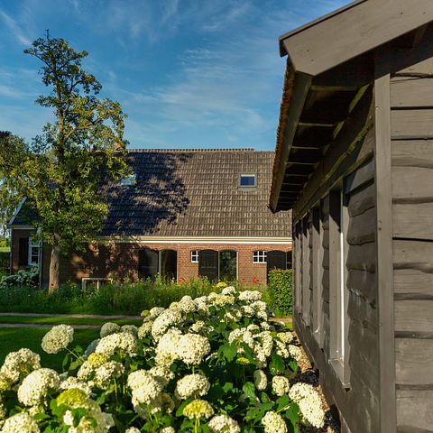 Wunderschön gelegenes B&B in Achterhoek - 3