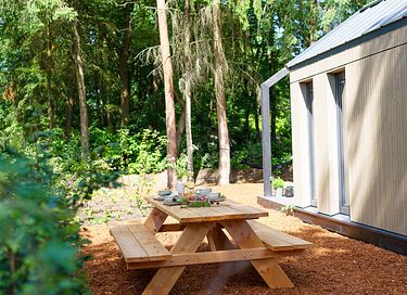 Design vakantiehuisje op de Veluwe - 12