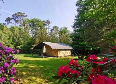 Romantische safaritent (2p) met ligbad - 1