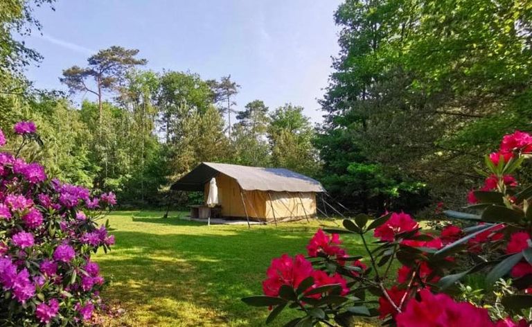Romantische safaritent (2p) met ligbad - 1