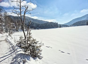 Petite maison au montagnes en Allemagne - 21