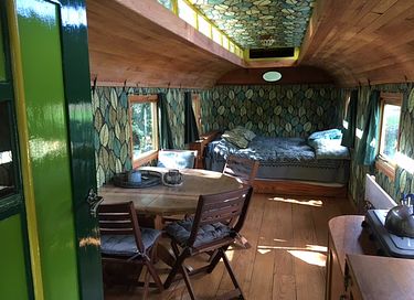 Large green wagon at the edge of the forest - 4