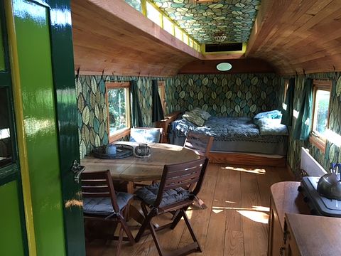 Large green wagon at the edge of the forest - 4