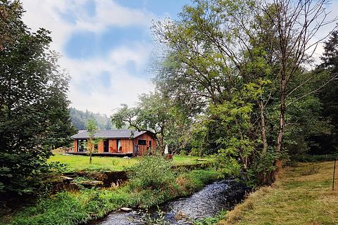 Houten natuurhuis met open haard in Duitsland - 2